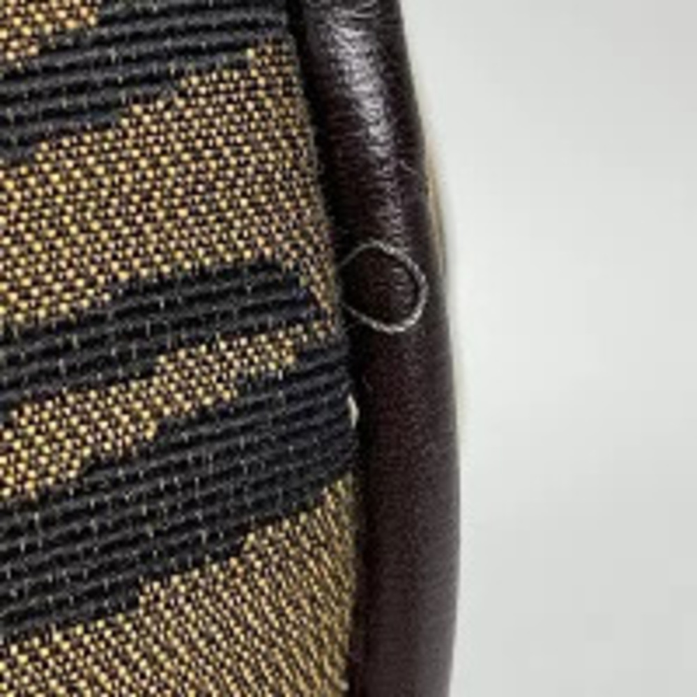 Fendi handbag brown Zucca canvas tiger Brown